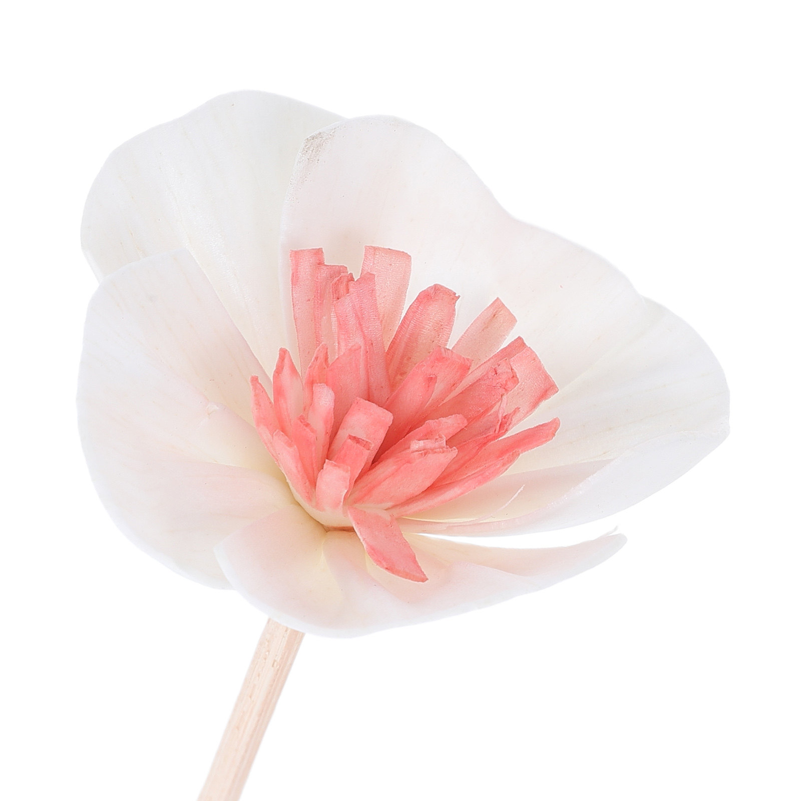 10 bâtonnets noirs pour diffus - Home Fragrance Oils avis et prix